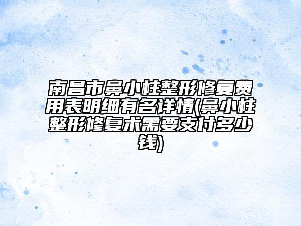 南昌市鼻小柱整形修复费用表明细有名详情(鼻小柱整形修复术需要支付多少钱)
