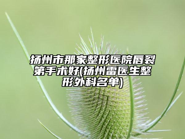 扬州市那家整形医院唇裂第手术好(扬州雷医生整形外科名单)