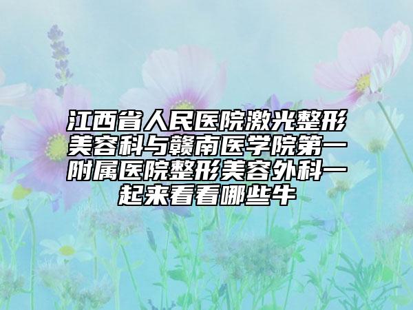 江西省人民医院激光整形美容科与赣南医学院第一附属医院整形美容外科一起来看看哪些牛