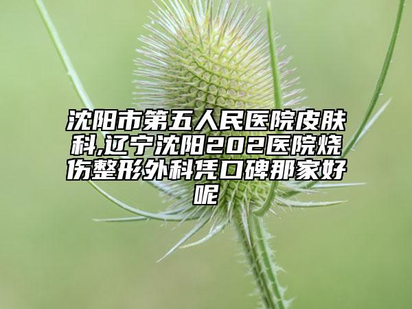 沈阳市第五人民医院皮肤科,辽宁沈阳202医院烧伤整形外科凭口碑那家好呢