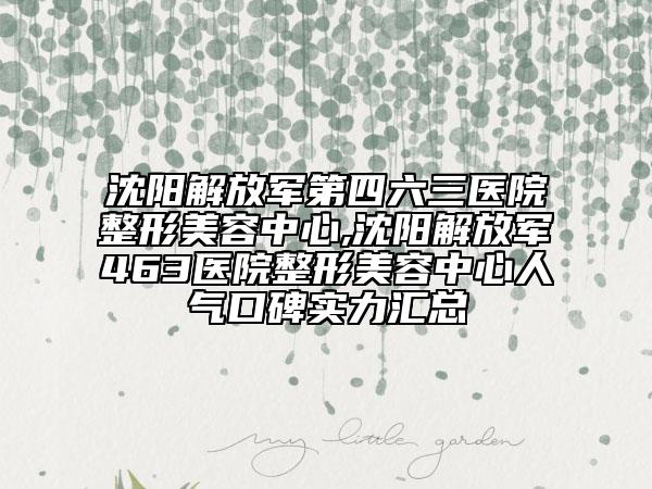 沈阳解放军第四六三医院整形美容中心,沈阳解放军463医院整形美容中心人气口碑实力汇总