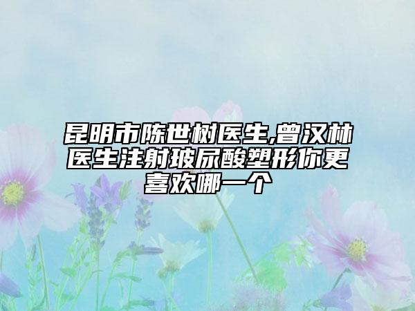 昆明市陈世树医生,曾汉林医生注射玻尿酸塑形你更喜欢哪一个