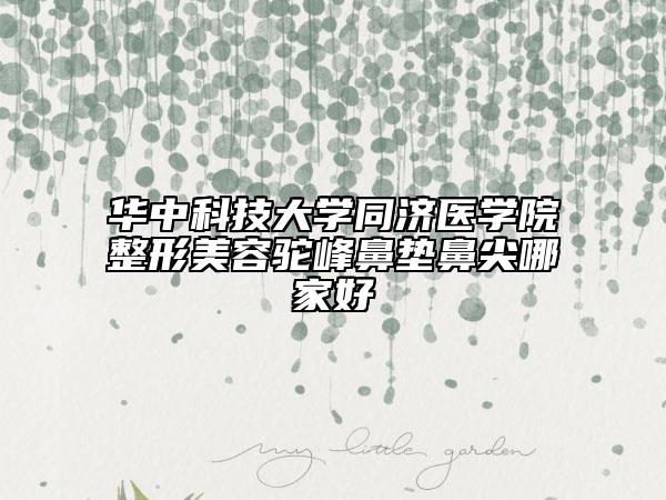 华中科技大学同济医学院整形美容驼峰鼻垫鼻尖哪家好