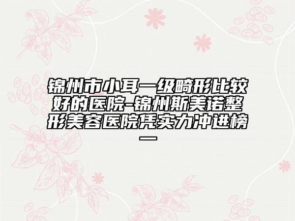 锦州市小耳一级畸形比较好的医院-锦州斯美诺整形美容医院凭实力冲进榜一