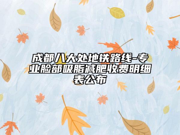成都八大处地铁路线-专业脸部吸脂减肥收费明细表公布