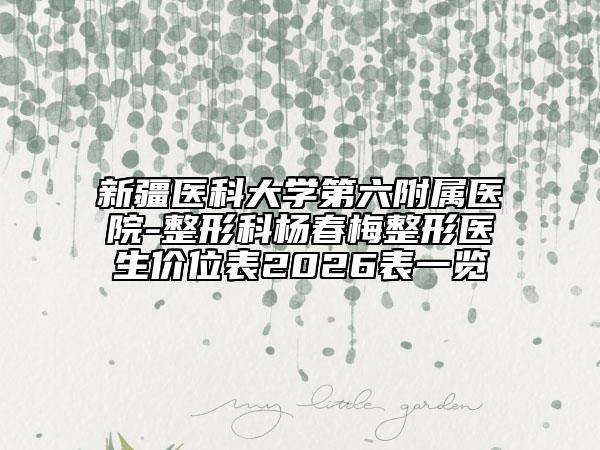 新疆医科大学第六附属医院-整形科杨春梅整形医生价位表2026表一览