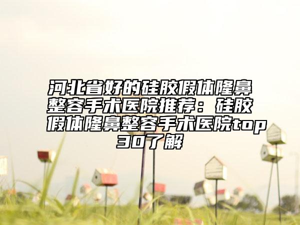 河北省好的硅胶假体隆鼻整容手术医院推荐：硅胶假体隆鼻整容手术医院top30了解
