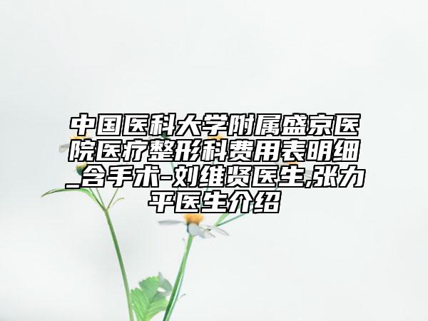 中国医科大学附属盛京医院医疗整形科费用表明细_含手术-刘维贤医生,张力平医生介绍