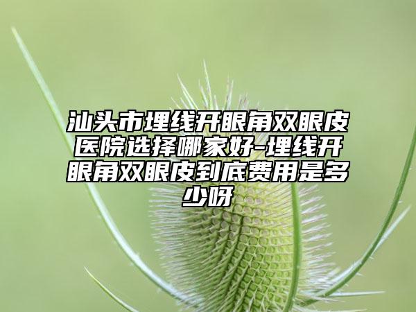 汕头市埋线开眼角双眼皮医院选择哪家好-埋线开眼角双眼皮到底费用是多少呀