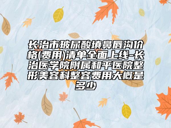 长治市玻尿酸填鼻唇沟价格(费用)清单全面上线-长治医学院附属和平医院整形美容科整容费用大概是多少
