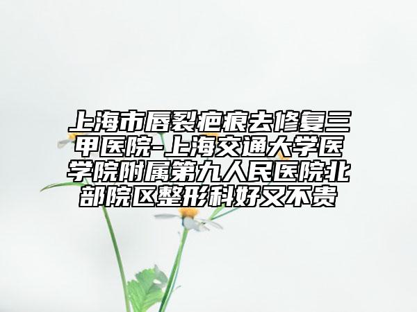 上海市唇裂疤痕去修复三甲医院-上海交通大学医学院附属第九人民医院北部院区整形科好又不贵