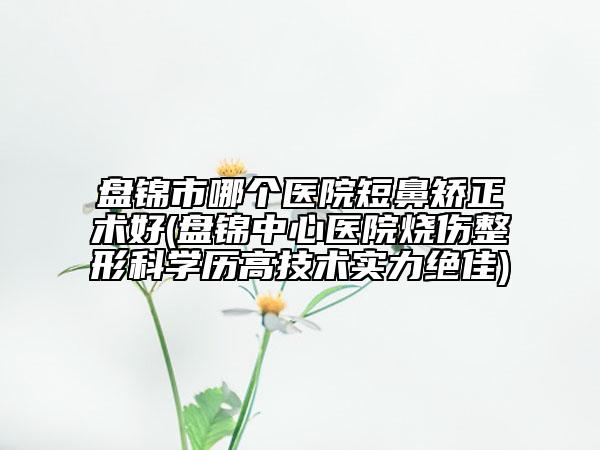 盘锦市哪个医院短鼻矫正术好(盘锦中心医院烧伤整形科学历高技术实力绝佳)