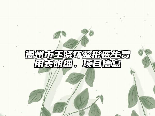 德州市王晓环整形医生费用表明细，项目信息