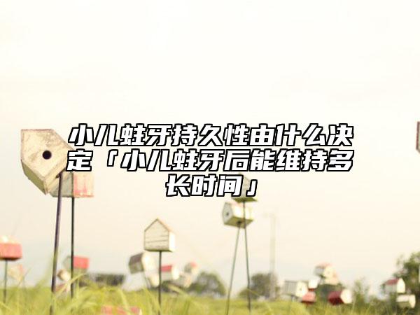 小儿蛀牙持久性由什么决定「小儿蛀牙后能维持多长时间」