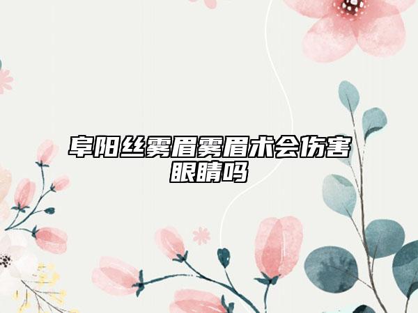 阜阳丝雾眉雾眉术会伤害眼睛吗
