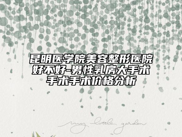 昆明医学院美容整形医院好不好-男性乳房大手术手术手术价格分析
