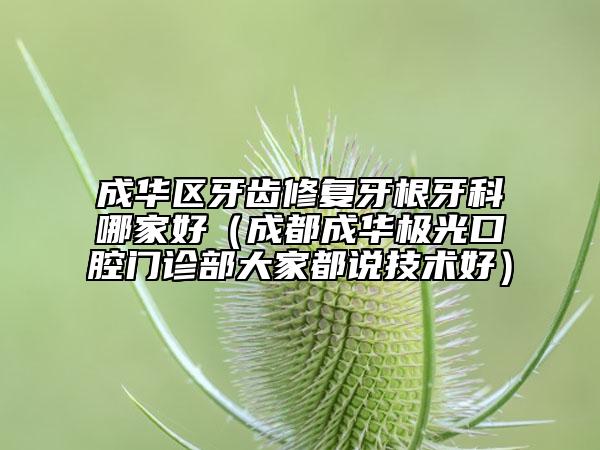 成华区牙齿修复牙根牙科哪家好（成都成华极光口腔门诊部大家都说技术好）