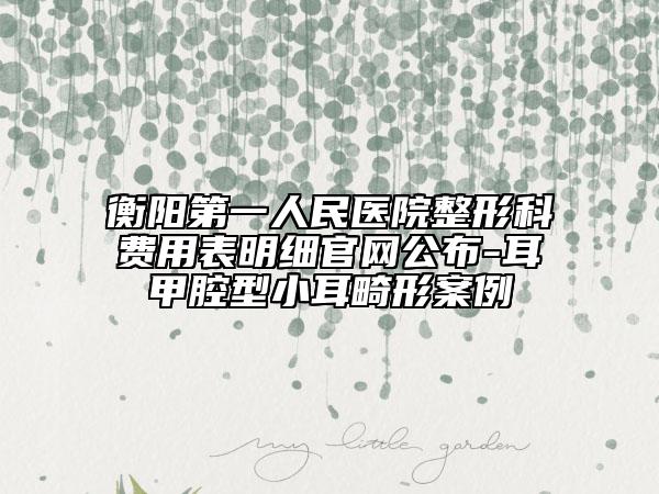 衡阳第一人民医院整形科费用表明细官网公布-耳甲腔型小耳畸形案例