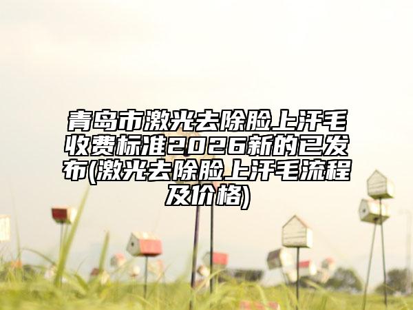青岛市激光去除脸上汗毛收费标准2026新的已发布(激光去除脸上汗毛流程及价格)