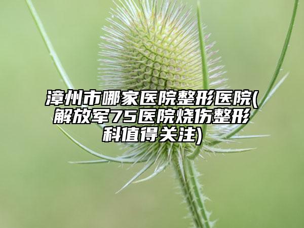 漳州市哪家医院整形医院(解放军75医院烧伤整形科值得关注)