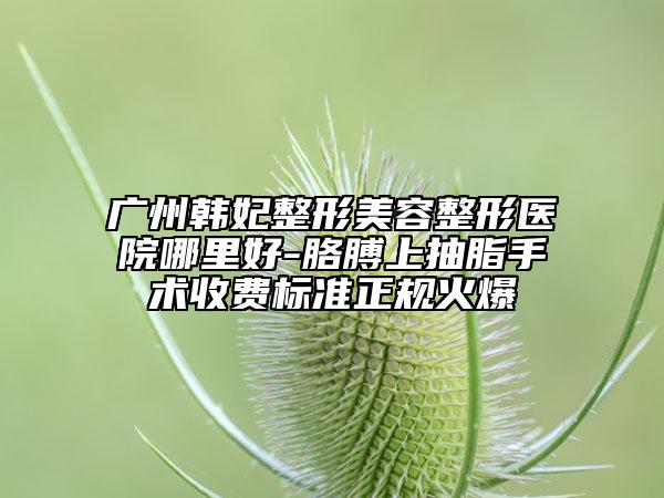 广州韩妃整形美容整形医院哪里好-胳膊上抽脂手术收费标准正规火爆