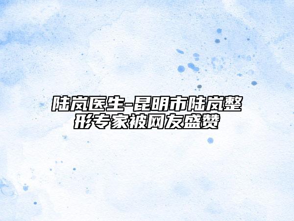 陆岚医生-昆明市陆岚整形专家被网友盛赞