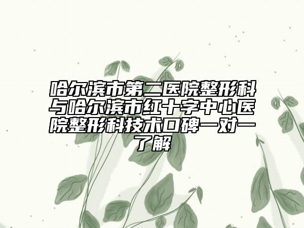 哈尔滨市第二医院整形科与哈尔滨市红十字中心医院整形科技术口碑一对一了解