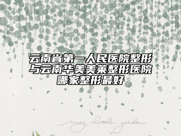 云南省第一人民医院整形与云南华美美莱整形医院哪家整形最好