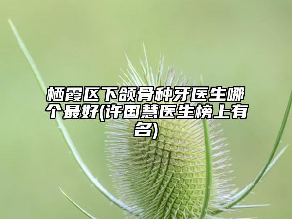 栖霞区下颌骨种牙医生哪个最好(许国慧医生榜上有名)