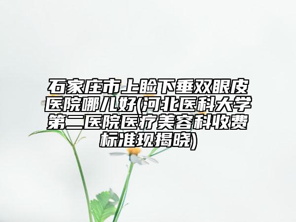 石家庄市上睑下垂双眼皮医院哪儿好(河北医科大学第二医院医疗美容科收费标准现揭晓)