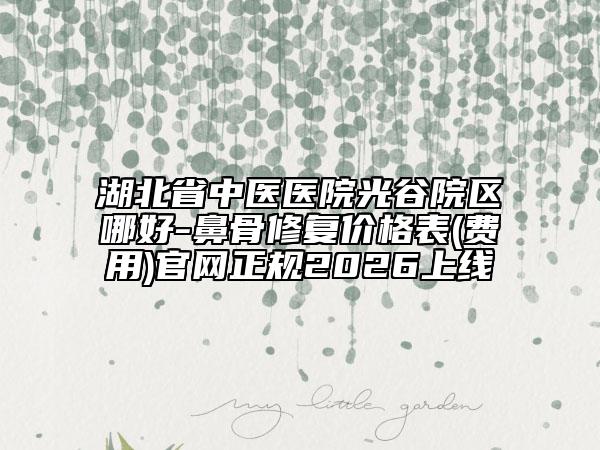 湖北省中医医院光谷院区哪好-鼻骨修复价格表(费用)官网正规2026上线