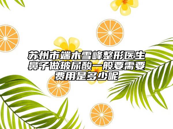 苏州市端木雪峰整形医生鼻子做玻尿酸一般要需要费用是多少呢