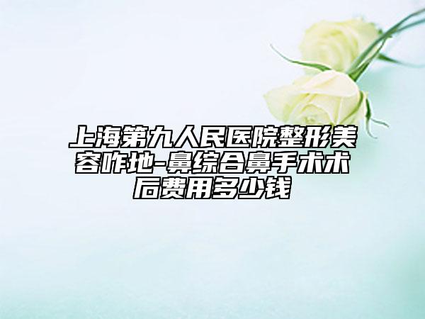 上海第九人民医院整形美容咋地-鼻综合鼻手术术后费用多少钱