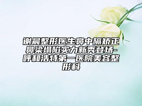 谢晨整形医生鼻中隔矫正鼻梁塌陷实力新秀登场-呼和浩特第一医院美容整形科