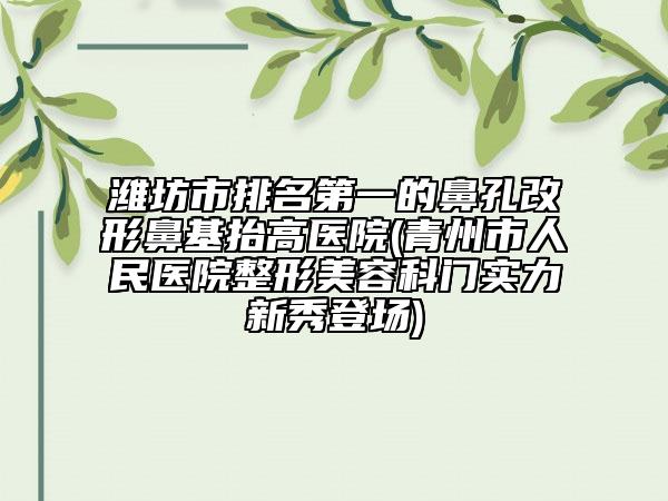 潍坊市排名第一的鼻孔改形鼻基抬高医院(青州市人民医院整形美容科门实力新秀登场)