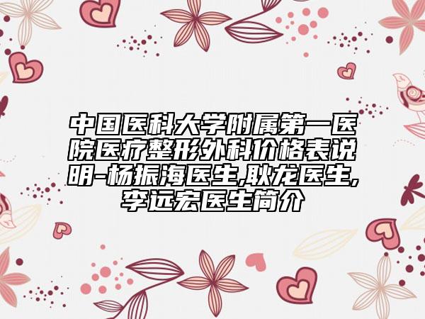 中国医科大学附属第一医院医疗整形外科价格表说明-杨振海医生,耿龙医生,李远宏医生简介