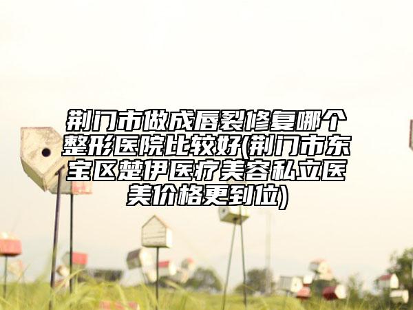 荆门市做成唇裂修复哪个整形医院比较好(荆门市东宝区楚伊医疗美容私立医美价格更到位)