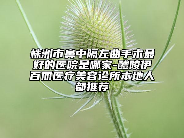 株洲市鼻中隔左曲手术最好的医院是哪家-醴陵伊百丽医疗美容诊所本地人都推荐