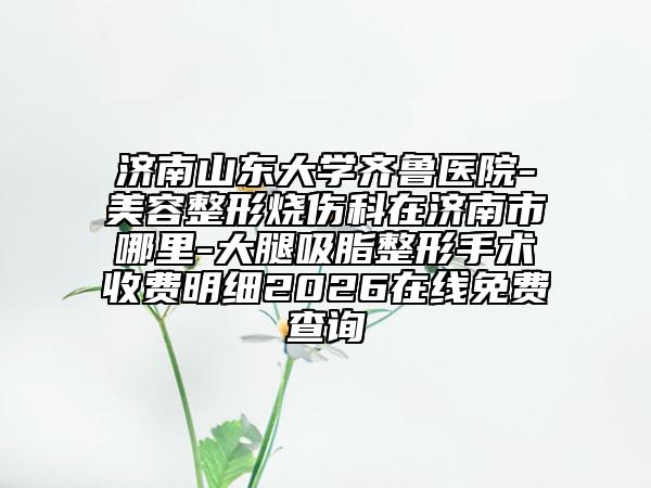 济南山东大学齐鲁医院-美容整形烧伤科在济南市哪里-大腿吸脂整形手术收费明细2026在线免费查询
