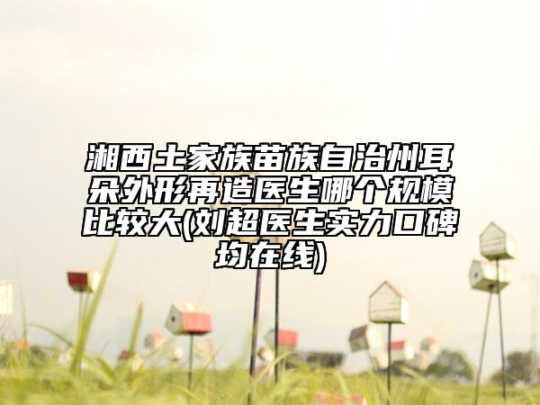 湘西土家族苗族自治州耳朵外形再造医生哪个规模比较大(刘超医生实力口碑均在线)