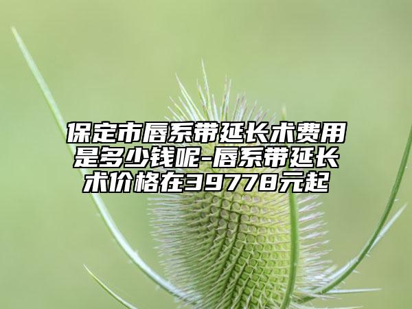 保定市唇系带延长术费用是多少钱呢-唇系带延长术价格在39778元起