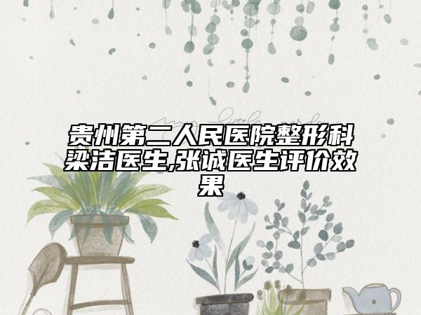 贵州第二人民医院整形科梁洁医生,张诚医生评价效果