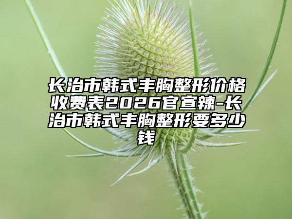 长治市韩式丰胸整形价格收费表2026官宣辣-长治市韩式丰胸整形要多少钱