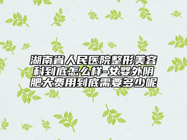 湖南省人民医院整形美容科到底怎么样-女婴外阴肥大费用到底需要多少呢