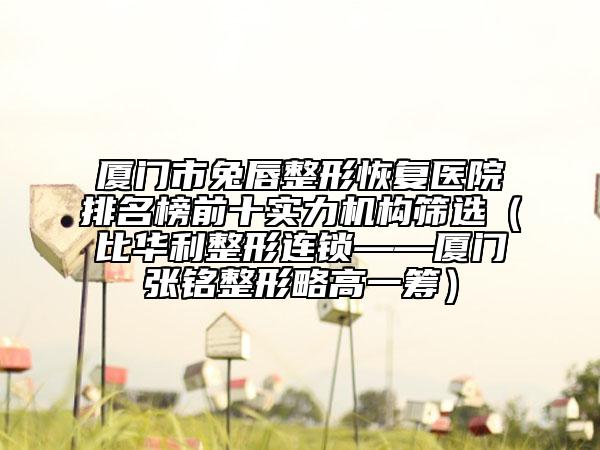 厦门市兔唇整形恢复医院排名榜前十实力机构筛选（比华利整形连锁——厦门张铭整形略高一筹）