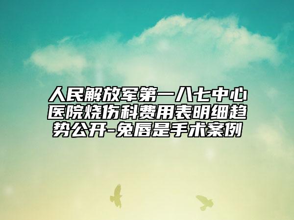 人民解放军第一八七中心医院烧伤科费用表明细趋势公开-兔唇是手术案例