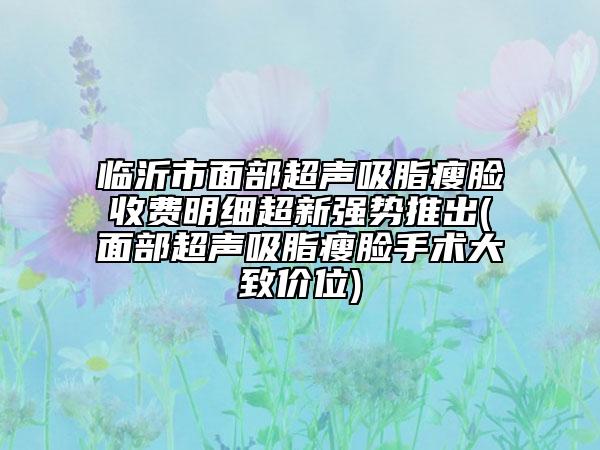 临沂市面部超声吸脂瘦脸收费明细超新强势推出(面部超声吸脂瘦脸手术大致价位)