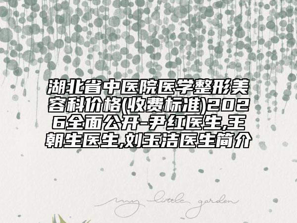 湖北省中医院医学整形美容科价格(收费标准)2026全面公开-尹红医生,王朝生医生,刘玉洁医生简介