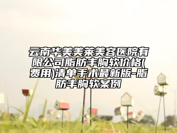 云南华美美莱美容医院有限公司脂肪丰胸软价格(费用)清单手术最新版-脂肪丰胸软案例