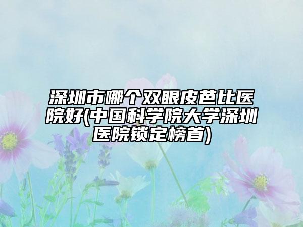 深圳市哪个双眼皮芭比医院好(中国科学院大学深圳医院锁定榜首)